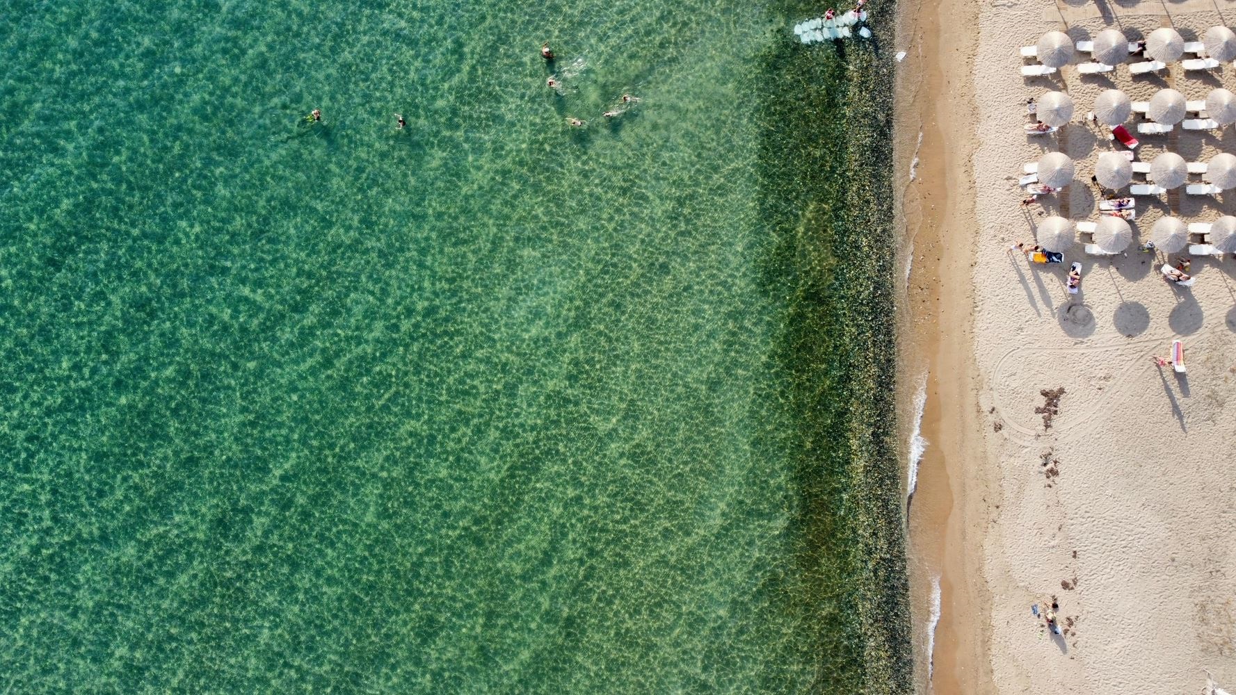 Strand von Nea Flogita